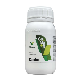 Cambo: | Agronor