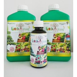 EcoHumusStrong lichid | Agronor